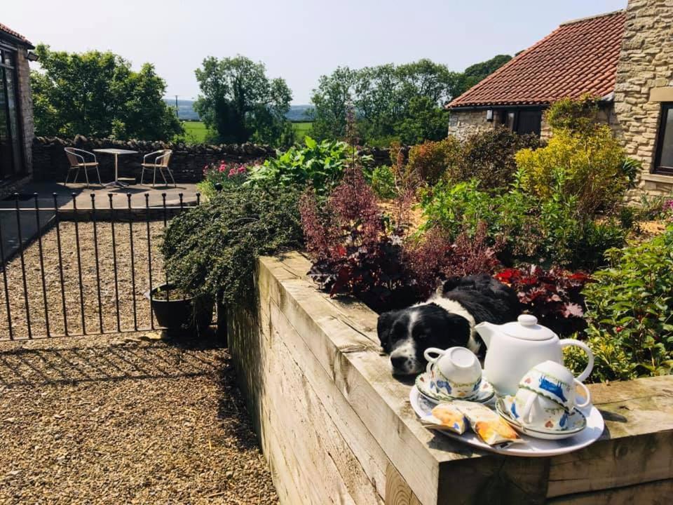 Valley View Farm Holiday Cottages Helmsley Extérieur photo
